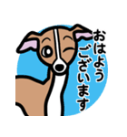 【レッド】1年中使えるイタグレのスタンプ（個別スタンプ：1）