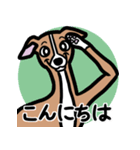 【レッド】1年中使えるイタグレのスタンプ（個別スタンプ：2）