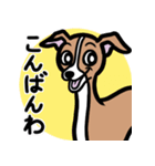 【レッド】1年中使えるイタグレのスタンプ（個別スタンプ：3）