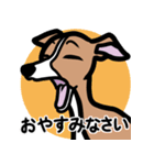【レッド】1年中使えるイタグレのスタンプ（個別スタンプ：4）