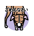 【レッド】1年中使えるイタグレのスタンプ（個別スタンプ：7）