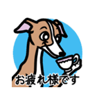 【レッド】1年中使えるイタグレのスタンプ（個別スタンプ：8）