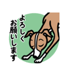 【レッド】1年中使えるイタグレのスタンプ（個別スタンプ：9）