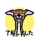 【レッド】1年中使えるイタグレのスタンプ（個別スタンプ：10）