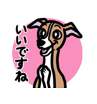 【レッド】1年中使えるイタグレのスタンプ（個別スタンプ：13）