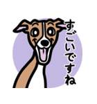 【レッド】1年中使えるイタグレのスタンプ（個別スタンプ：14）
