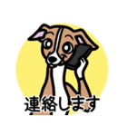 【レッド】1年中使えるイタグレのスタンプ（個別スタンプ：24）