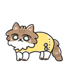 我が家の猫メルちゃん2（個別スタンプ：1）