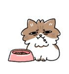 我が家の猫メルちゃん2（個別スタンプ：2）