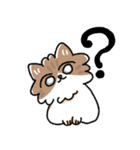 我が家の猫メルちゃん2（個別スタンプ：9）
