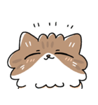 我が家の猫メルちゃん2（個別スタンプ：16）