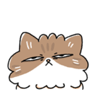 我が家の猫メルちゃん2（個別スタンプ：19）
