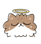 我が家の猫メルちゃん2（個別スタンプ：21）