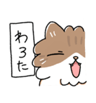 我が家の猫メルちゃん2（個別スタンプ：25）