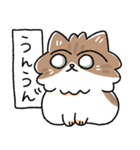 我が家の猫メルちゃん2（個別スタンプ：29）