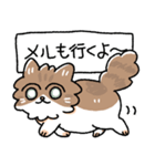 我が家の猫メルちゃん2（個別スタンプ：34）