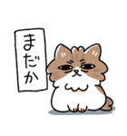 我が家の猫メルちゃん2（個別スタンプ：37）
