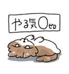 我が家の猫メルちゃん2（個別スタンプ：40）