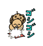 カメ吉とくるまるちゃん5（個別スタンプ：9）