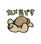 カメ吉とくるまるちゃん5（個別スタンプ：14）
