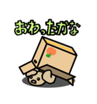 カメ吉とくるまるちゃん5（個別スタンプ：20）