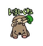 カメ吉とくるまるちゃん5（個別スタンプ：37）