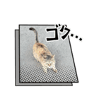 ほのぼののひ（個別スタンプ：4）