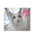 うたはふの挨拶スタンプ（個別スタンプ：5）