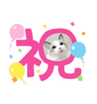 うたはふの挨拶スタンプ（個別スタンプ：9）