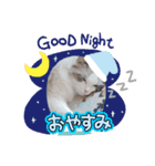 うたはふの挨拶スタンプ（個別スタンプ：10）