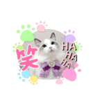 うたはふの挨拶スタンプ（個別スタンプ：11）