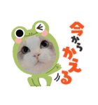 うたはふの挨拶スタンプ（個別スタンプ：12）