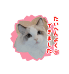 うたはふの挨拶スタンプ（個別スタンプ：13）