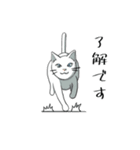 聞き上手なしろねこ くうの日常 2（個別スタンプ：2）