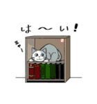 聞き上手なしろねこ くうの日常 2（個別スタンプ：3）