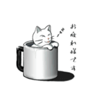 聞き上手なしろねこ くうの日常 2（個別スタンプ：4）