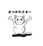 聞き上手なしろねこ くうの日常 2（個別スタンプ：5）