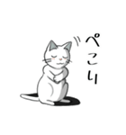 聞き上手なしろねこ くうの日常 2（個別スタンプ：12）