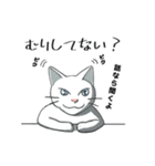 聞き上手なしろねこ くうの日常 2（個別スタンプ：19）