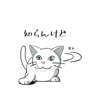 聞き上手なしろねこ くうの日常 2（個別スタンプ：27）