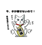 聞き上手なしろねこ くうの日常 2（個別スタンプ：30）