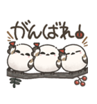 我らシマエナガ三兄弟！（個別スタンプ：26）