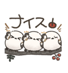 我らシマエナガ三兄弟！（個別スタンプ：31）