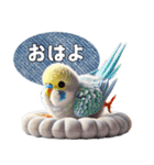 セキセイインコの日常挨拶（個別スタンプ：1）