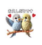 セキセイインコの日常挨拶（個別スタンプ：13）