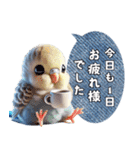 セキセイインコの日常挨拶（個別スタンプ：19）