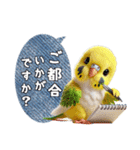 セキセイインコの日常挨拶（個別スタンプ：21）