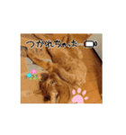 まよいクラブ（個別スタンプ：4）