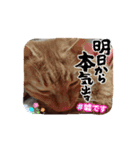 まよいクラブ（個別スタンプ：5）