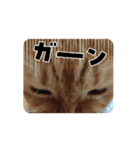 まよいクラブ（個別スタンプ：6）